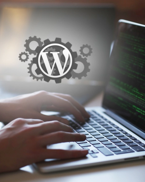 Restly Shape Our Custom WordPress Development Services